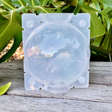 Load image into Gallery viewer, Clear Propagation Rooting Ball