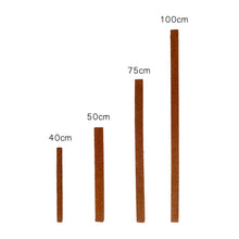 Load image into Gallery viewer, Tree Fern Fibre Totem Pole