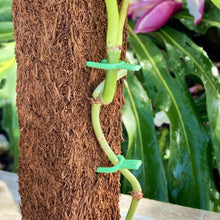 Load image into Gallery viewer, Plant Soil Pins 5cm