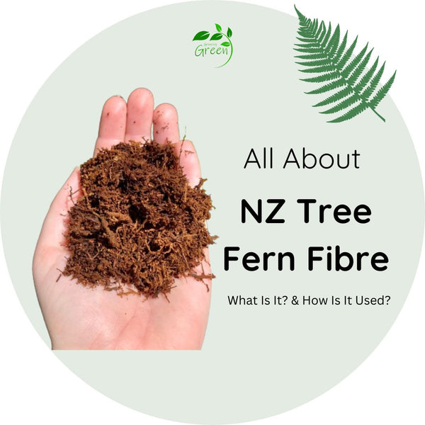 All About Tree Fern Fibre