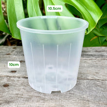 Load image into Gallery viewer, Clear Nursery Pot 10cm
