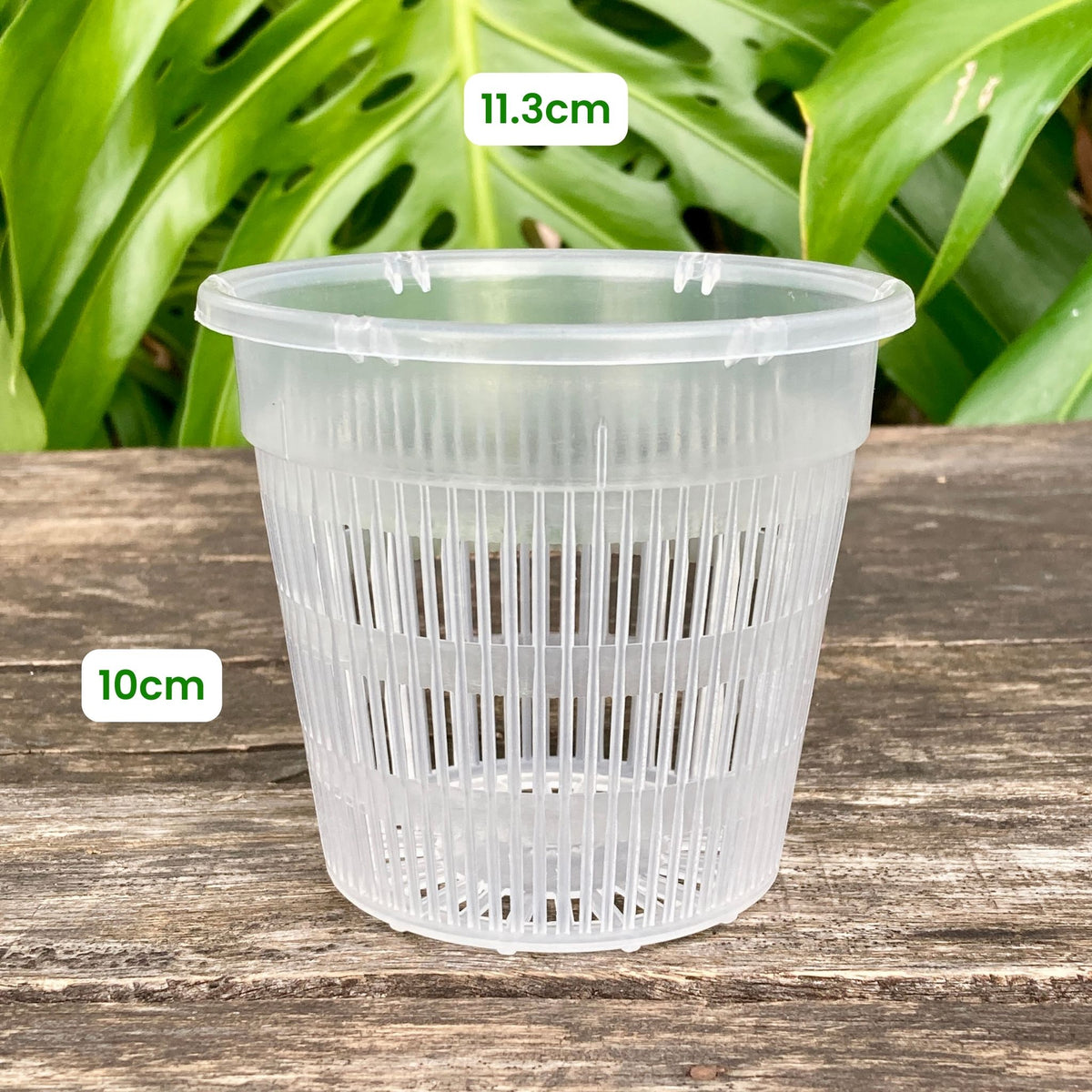 Buy Clear Net Pot 11cm – GrowingGreen NZ