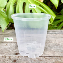Load image into Gallery viewer, Clear Nursery Pot 12cm
