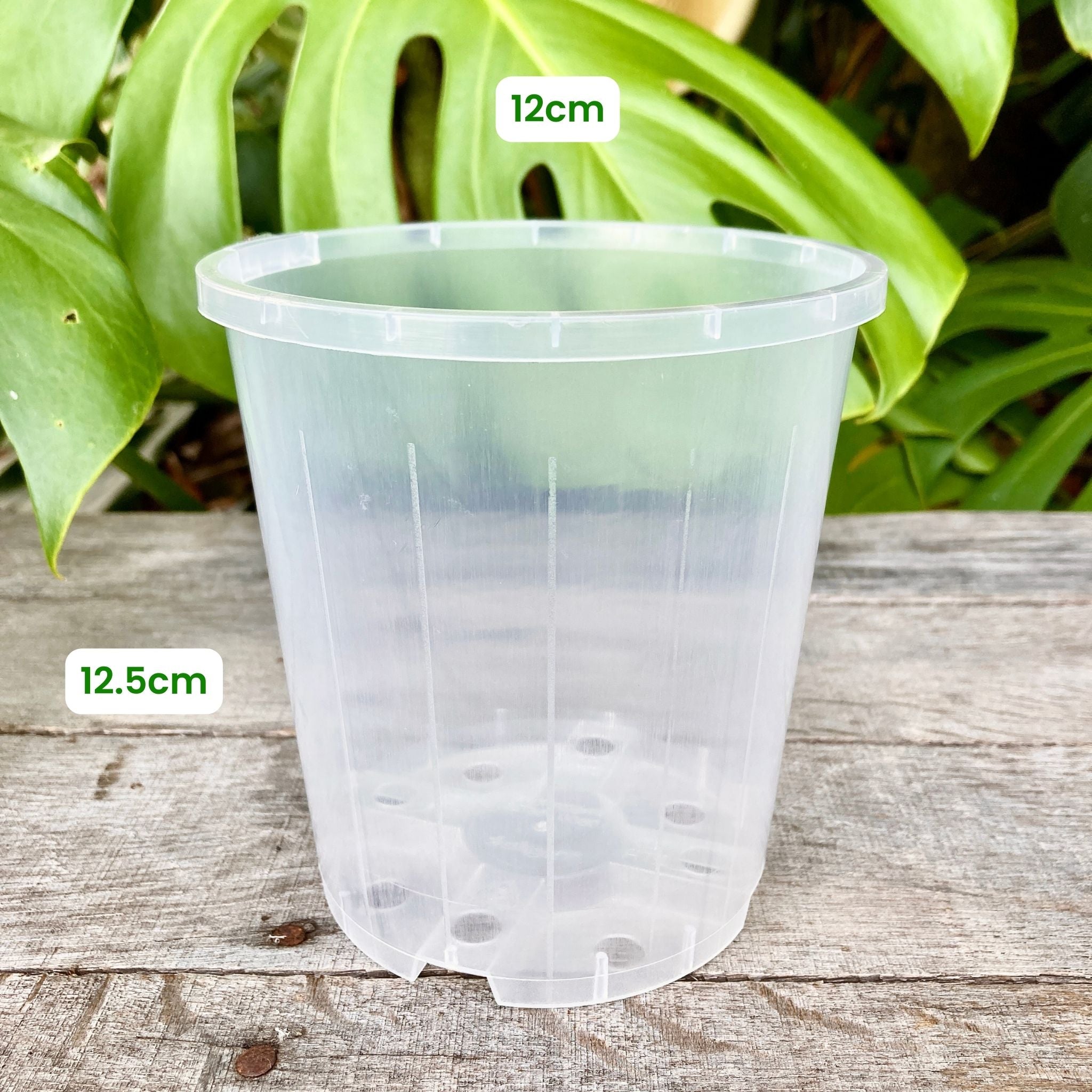 Transparent Sample Pot Buy Clear Nursery Pot Sample Set – GrowingGreen NZ