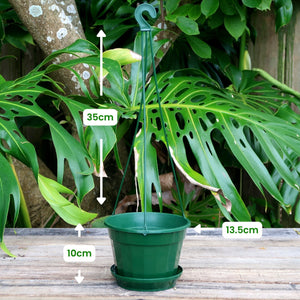 Hanging Pot Green/Black 14cm (850ml)
