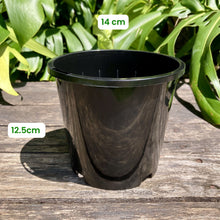 Load image into Gallery viewer, Black Nursery Pot 14cm (1.3L)
