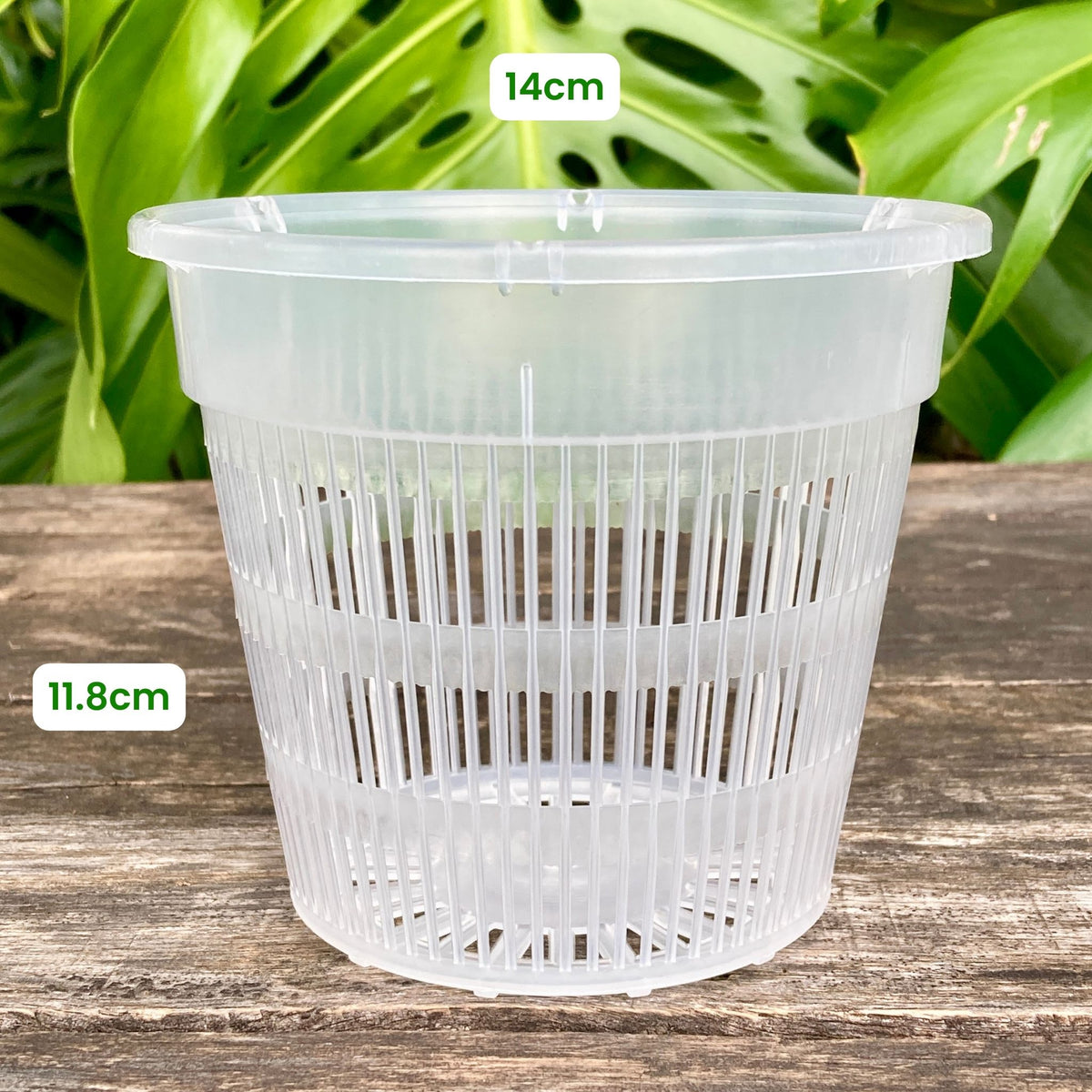 Buy Clear Net Pot 14cm (1.3L) – GrowingGreen NZ