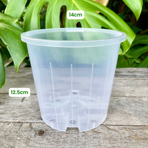 Complete Nursery Pot Sample Set