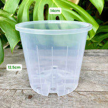 Load image into Gallery viewer, Clear Nursery Pot Sample Set
