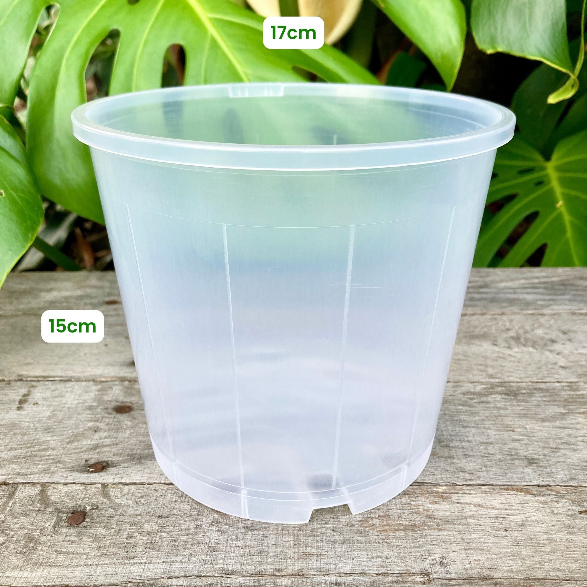 plant pots 17cm Buy Clear Nursery Pot 17cm (2.5L) – GrowingGreen NZ