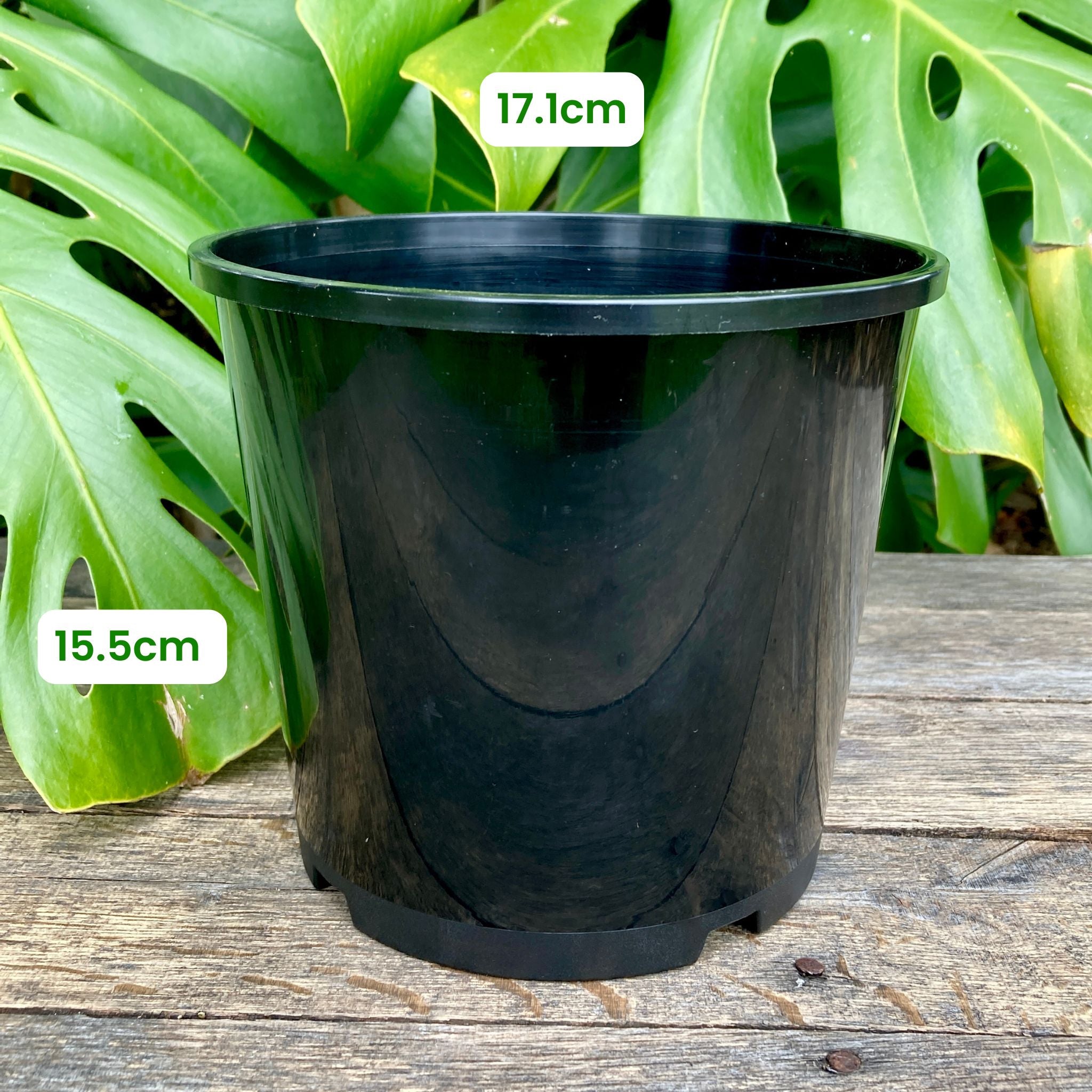 large plastic plant pots nz Buy Black Nursery Pot 17cm (2.5L) – GrowingGreen NZ