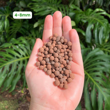 Load image into Gallery viewer, Hydro Clay Balls (LECA)
