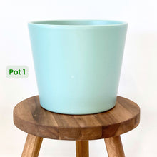 Load image into Gallery viewer, Millie Ceramic Cover Pot - 15cm SECONDS
