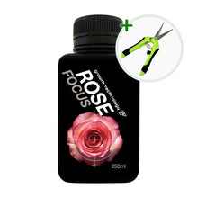 Load image into Gallery viewer, Rose Lovers Combo
