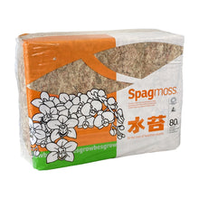 Load image into Gallery viewer, Besgrow NZ Spagmoss
