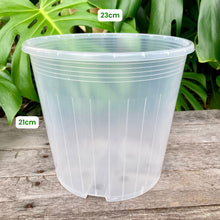 Load image into Gallery viewer, Clear Nursery Pot 23cm
