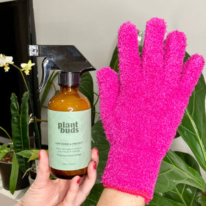 Plant Leaf Cleaning Combo