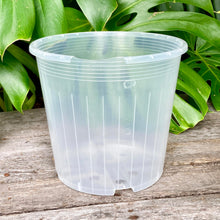 Load image into Gallery viewer, Clear Nursery Pot 23cm SECONDS

