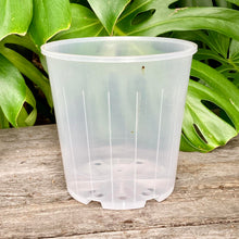 Load image into Gallery viewer, Clear Nursery Pot 20cm SECONDS
