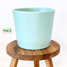 Load image into Gallery viewer, Millie Ceramic Cover Pot - 15cm SECONDS
