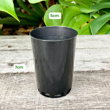Load image into Gallery viewer, Black Round Propagation Pot/Seedling Tube 5cm
