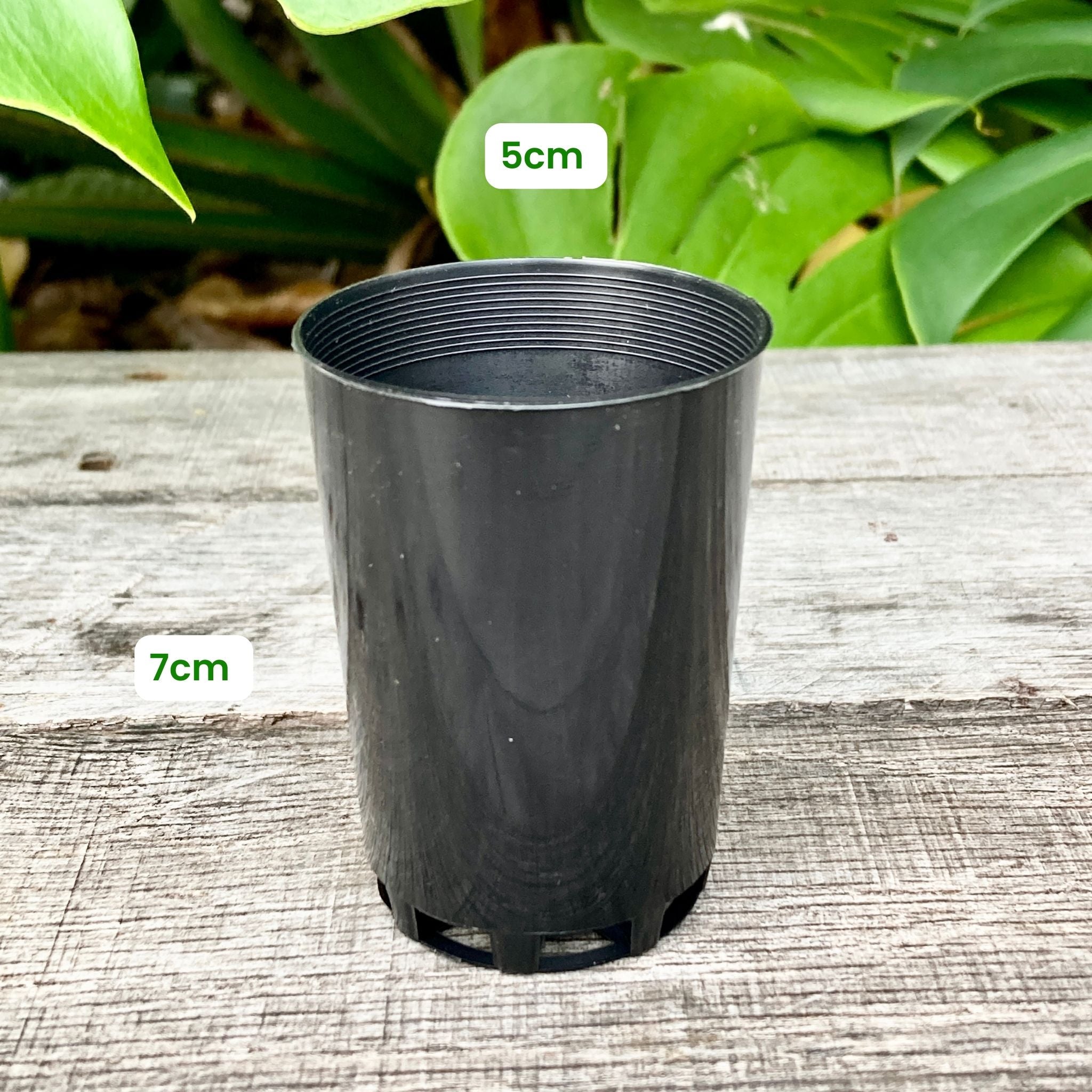 plastic plant pots nz Buy Black Nursery Pot Sample Set – GrowingGreen NZ