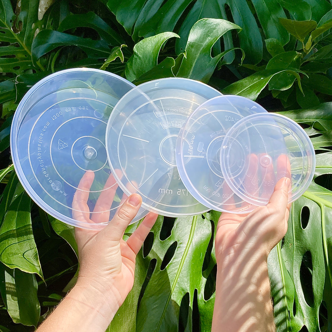 Clear Pot Saucer Sample Set