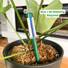 Load image into Gallery viewer, Gro-Sure Watering Indicator
