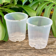 Clear Nursery Pot 12cm - SECONDS