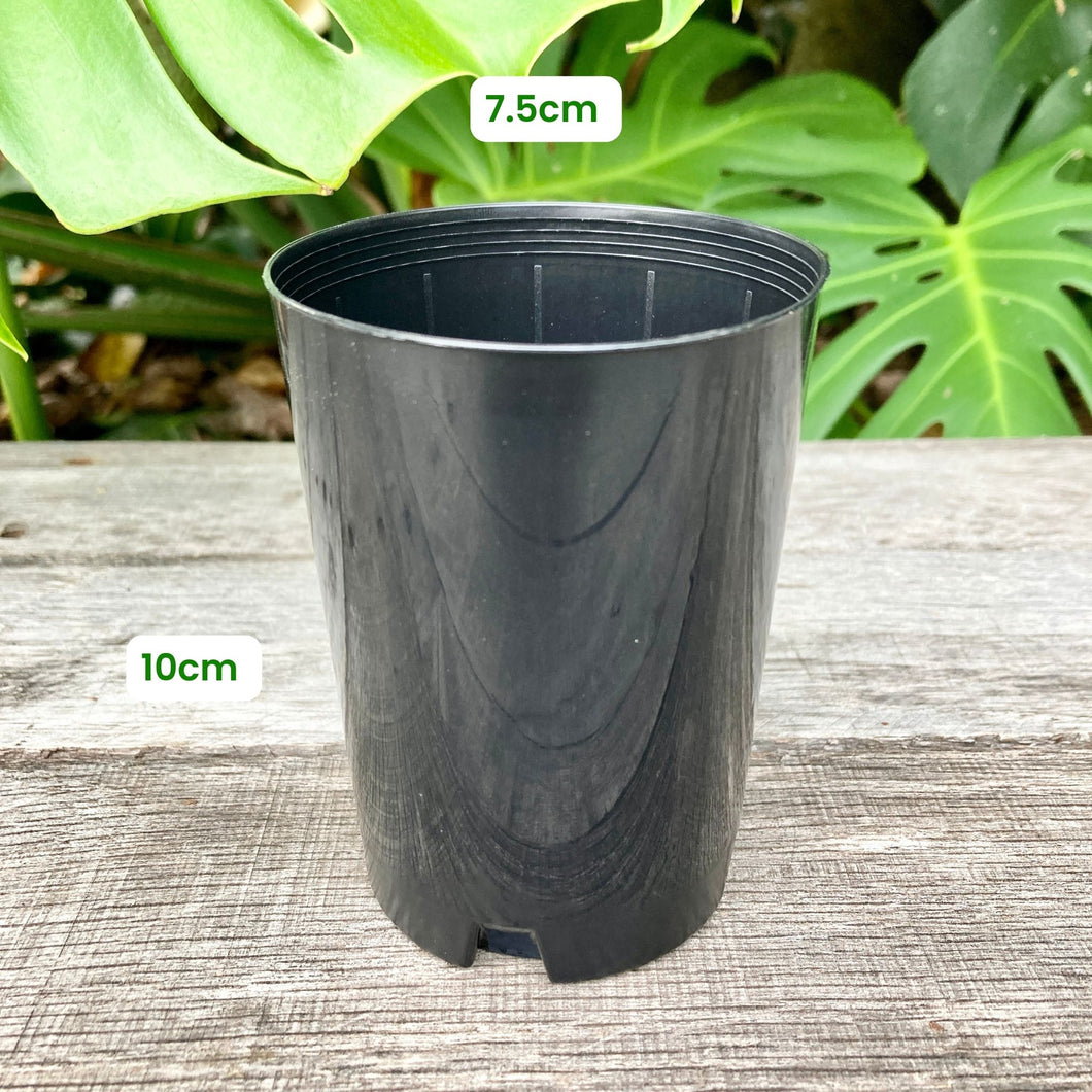Black Round Propagation Pot/Seedling Tube 7.5cm