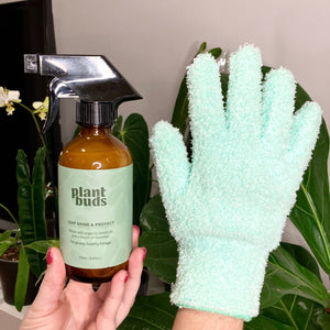 Plant Leaf Cleaning Combo