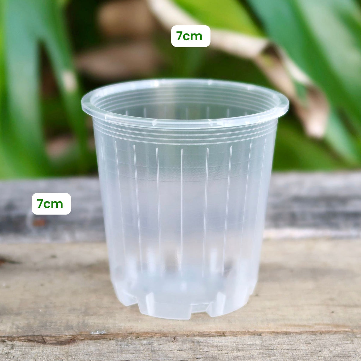 Transparent Sample Pot Buy Clear Nursery Pot Sample Set – GrowingGreen NZ
