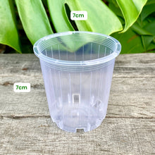 Load image into Gallery viewer, Clear Nursery Pot 7cm
