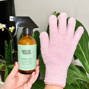 Plant Leaf Cleaning Combo