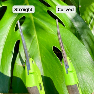 Hydro Axis Plant Propagation Scissors