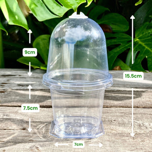 Clear Propagation Pot with Humidity Dome 9cm