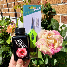 Load image into Gallery viewer, Rose Lovers Combo
