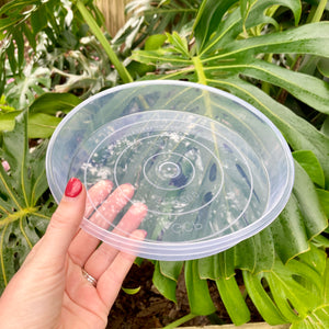 Clear Pot Saucers 200mm