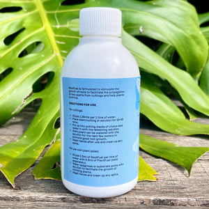 Grow.it RootFuel Rooting Solution