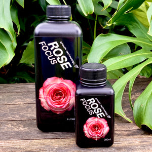 Growth Technology Rose Focus