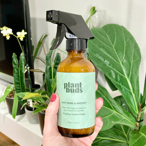 PlantBuds Leaf Shine & Protect