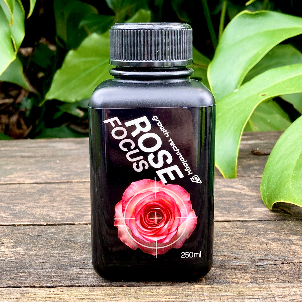 Growth Technology Rose Focus