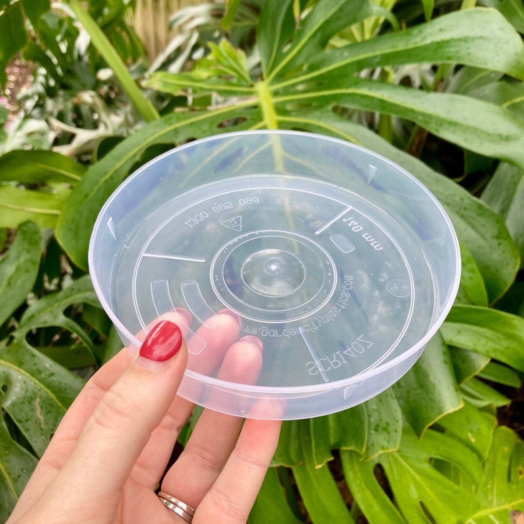 Clear Pot Saucers 140mm