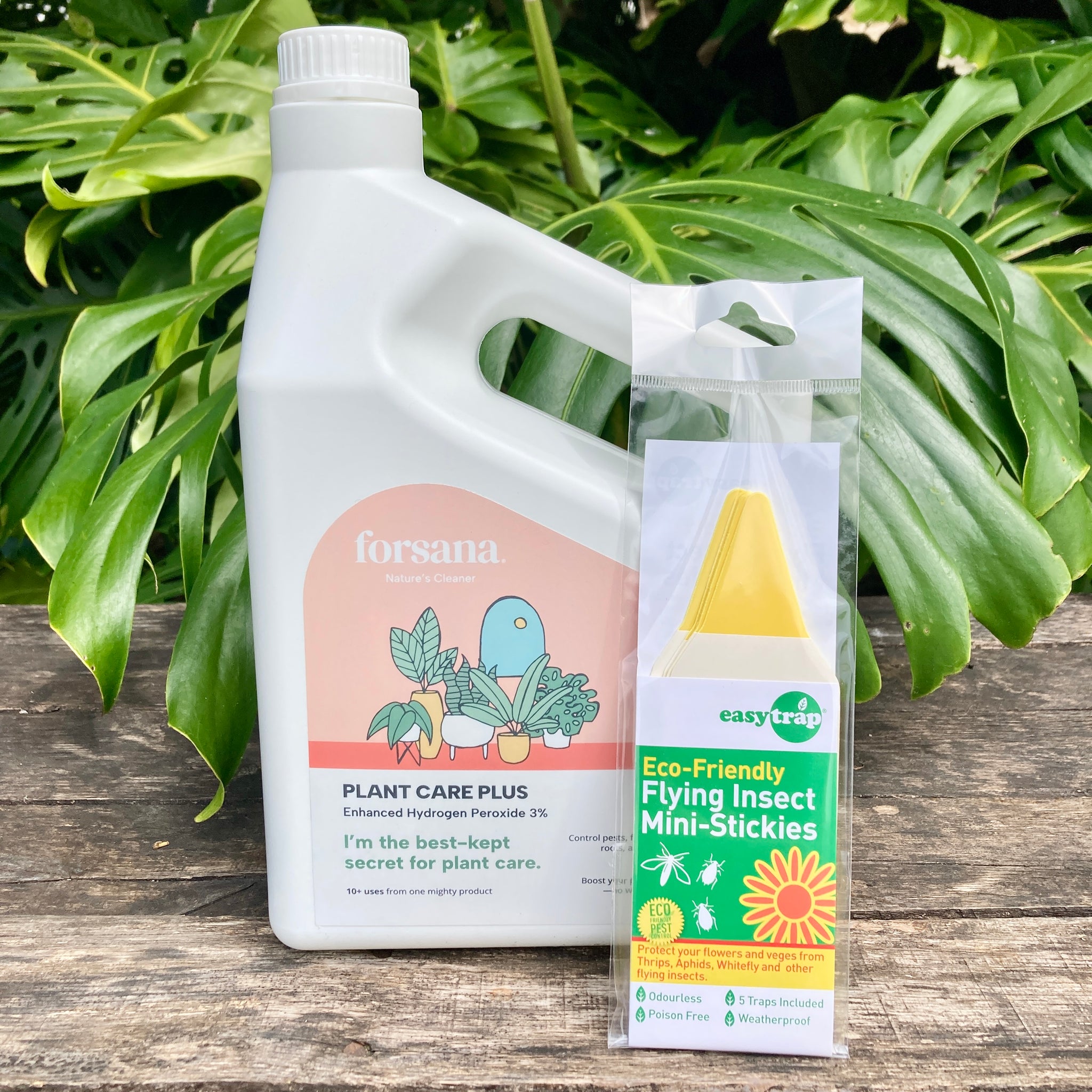 hydrogen peroxide for gnats in house plants Goodbye Fungus Gnats Combo – GrowingGreen NZ