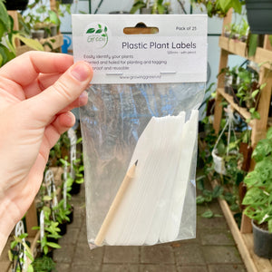 Plant Labels with Pencil 25pk