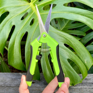 Hydro Axis Plant Propagation Scissors