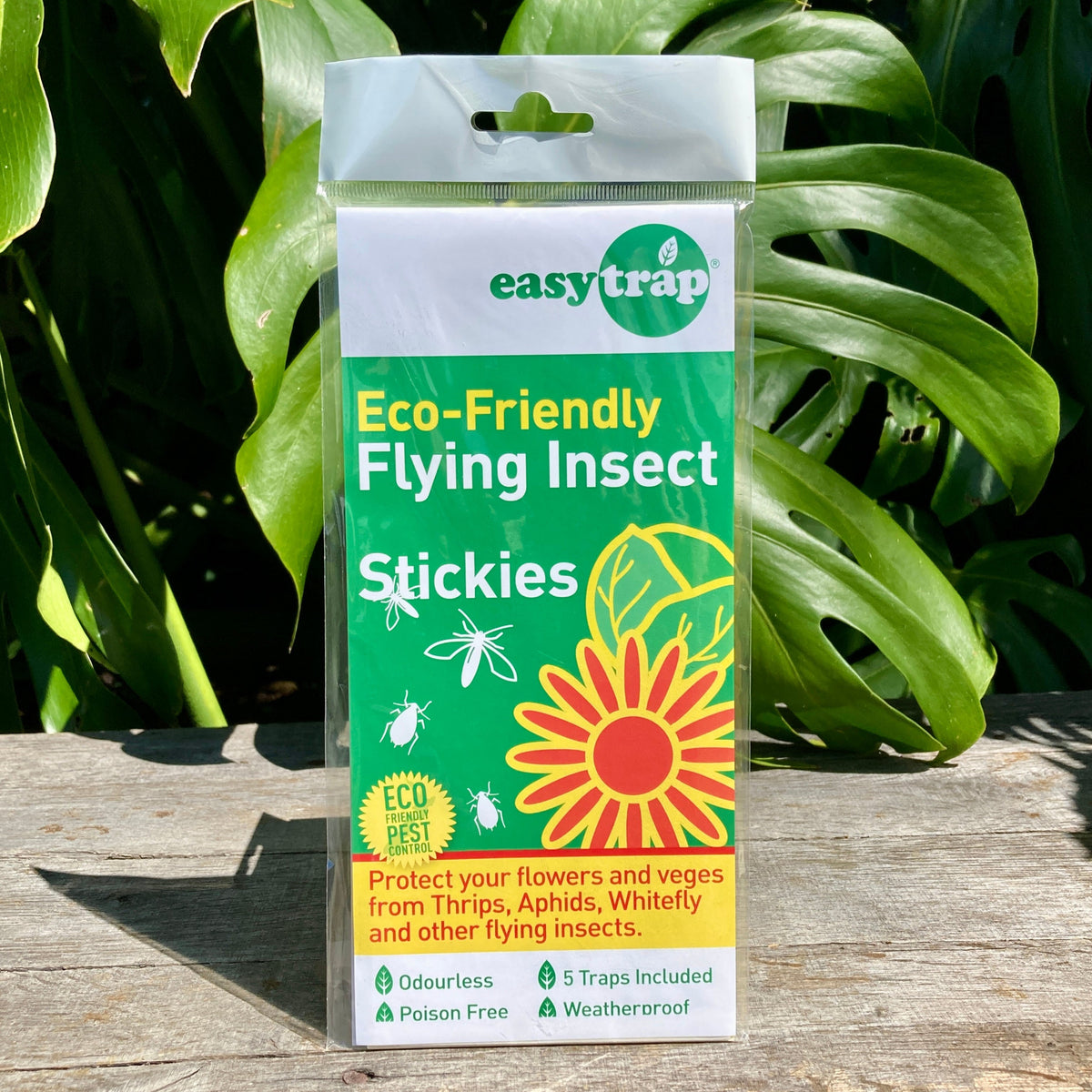 Buy EasyTrap Flying Insect Stickies – GrowingGreen NZ