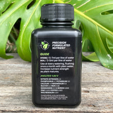Load image into Gallery viewer, Growth Technology Succulent Focus 250ml
