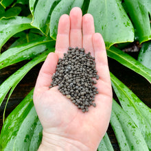Load image into Gallery viewer, Bio Leaf Active Stratum Soil
