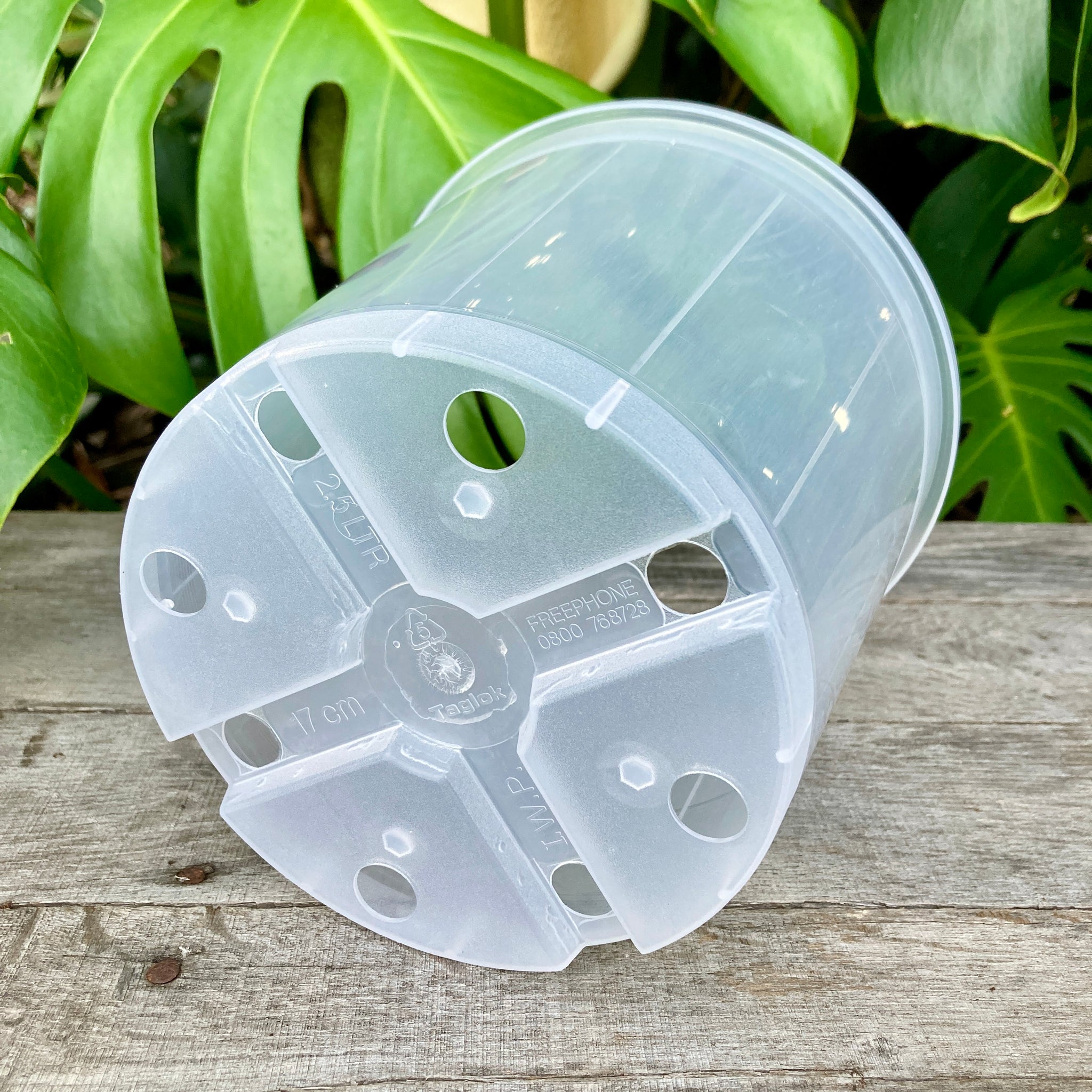 plant pots 17cm Buy Clear Nursery Pot 17cm (2.5L) – GrowingGreen NZ